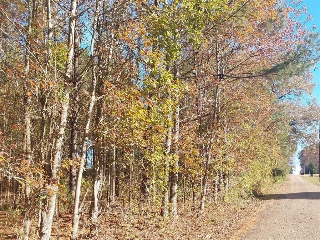 County Road 4560