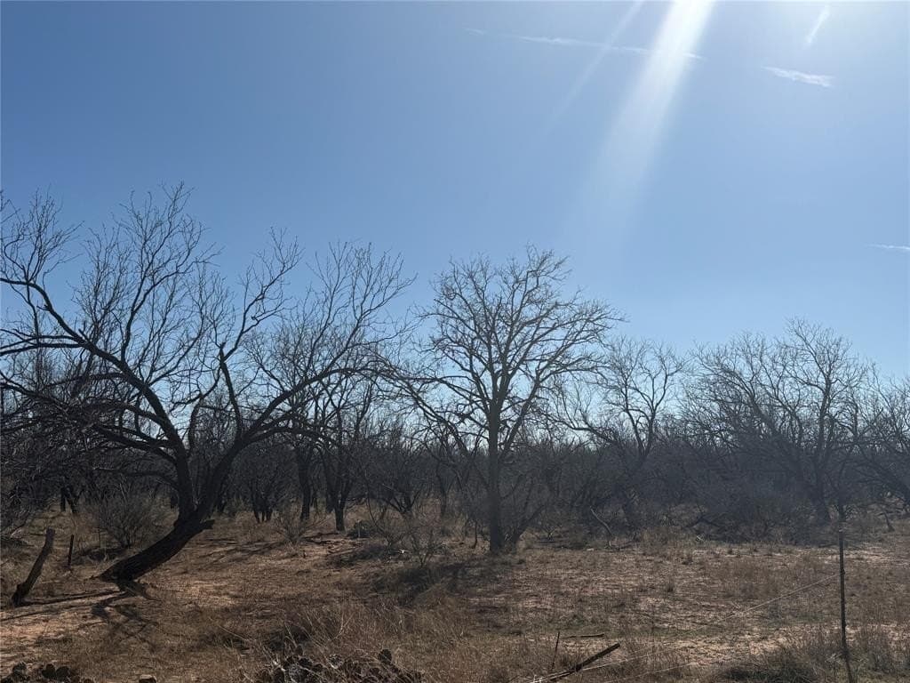 158.66 acres in Jones County - photo 9