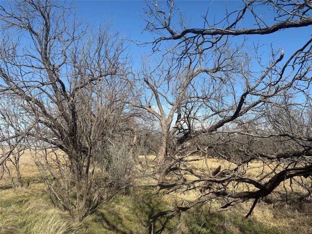 158.66 acres in Jones County - photo 5