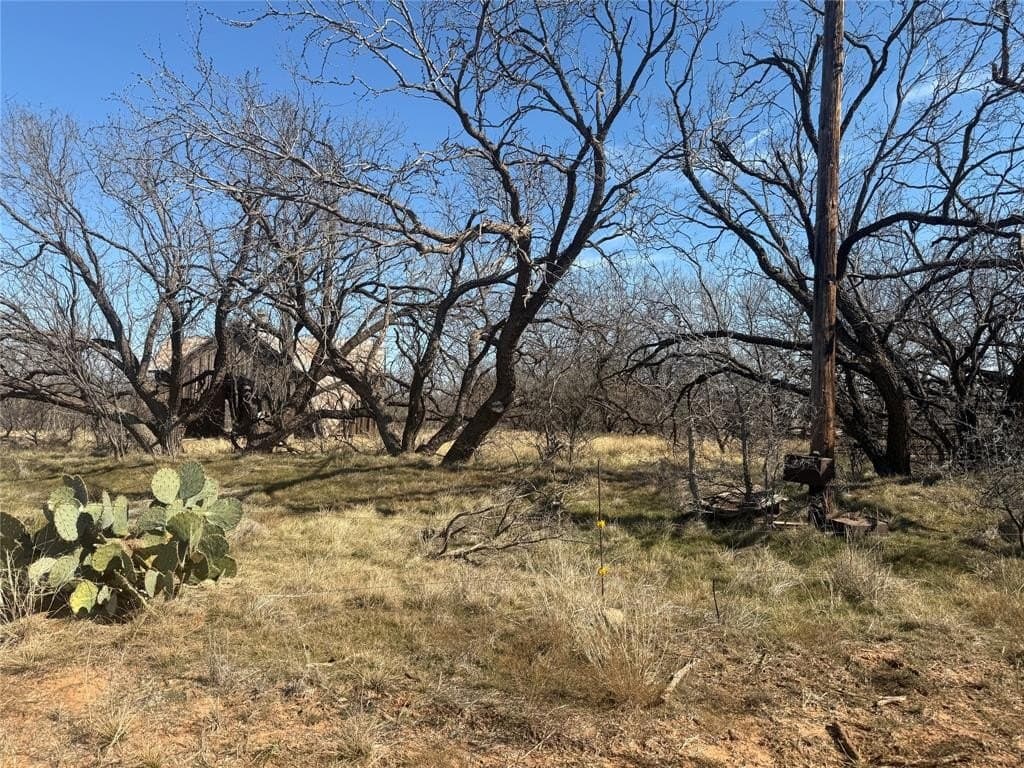 158.66 acres in Jones County - photo 2