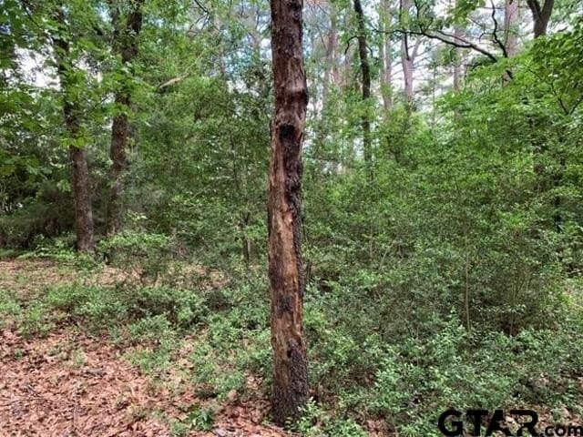 1.51 acres in Wood County - photo 4