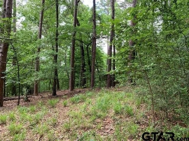 1.51 acres in Wood County - photo 3
