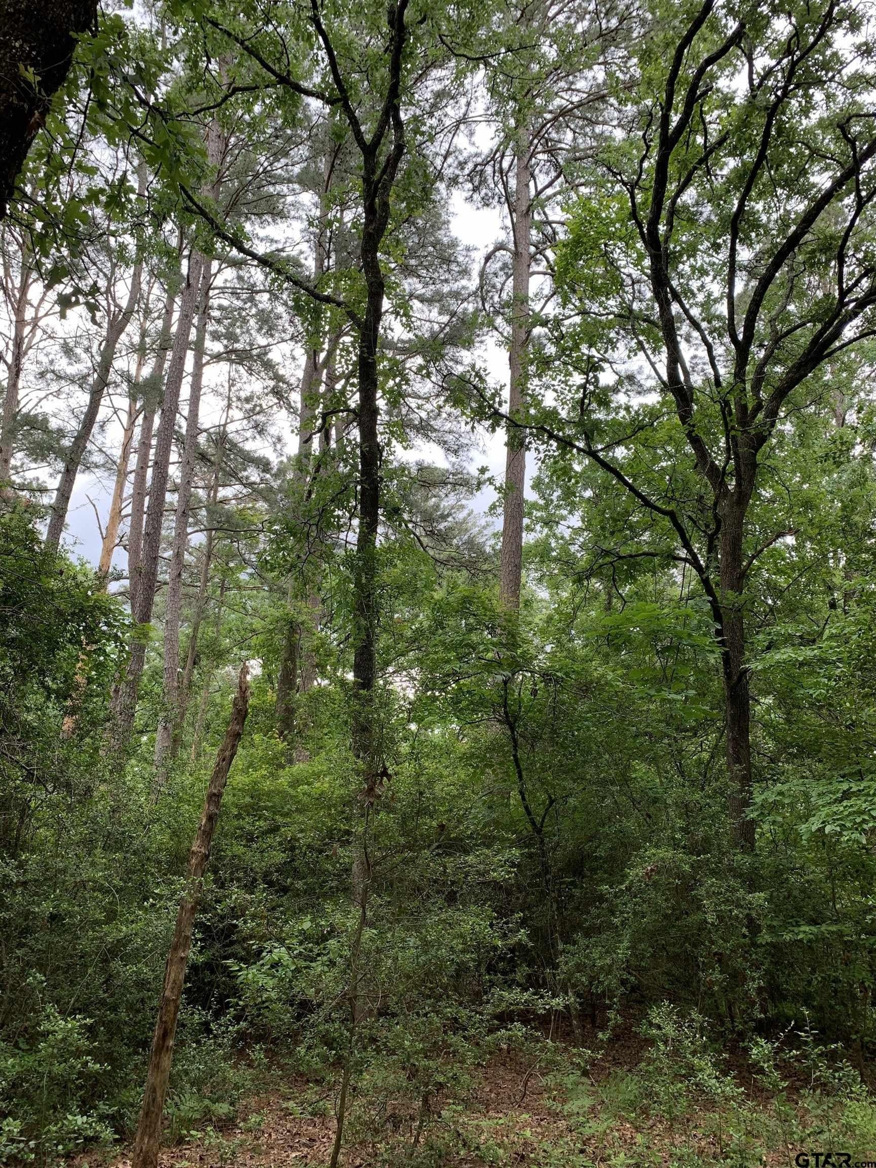 1.51 acres in Wood County - photo 5
