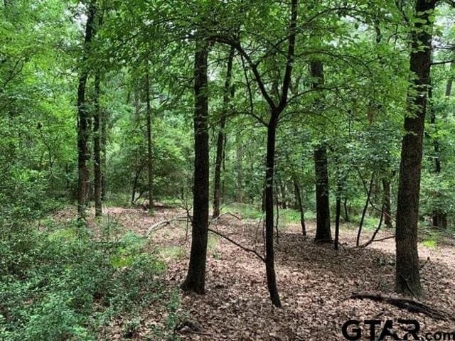 1.51 acres in Wood County - photo 2