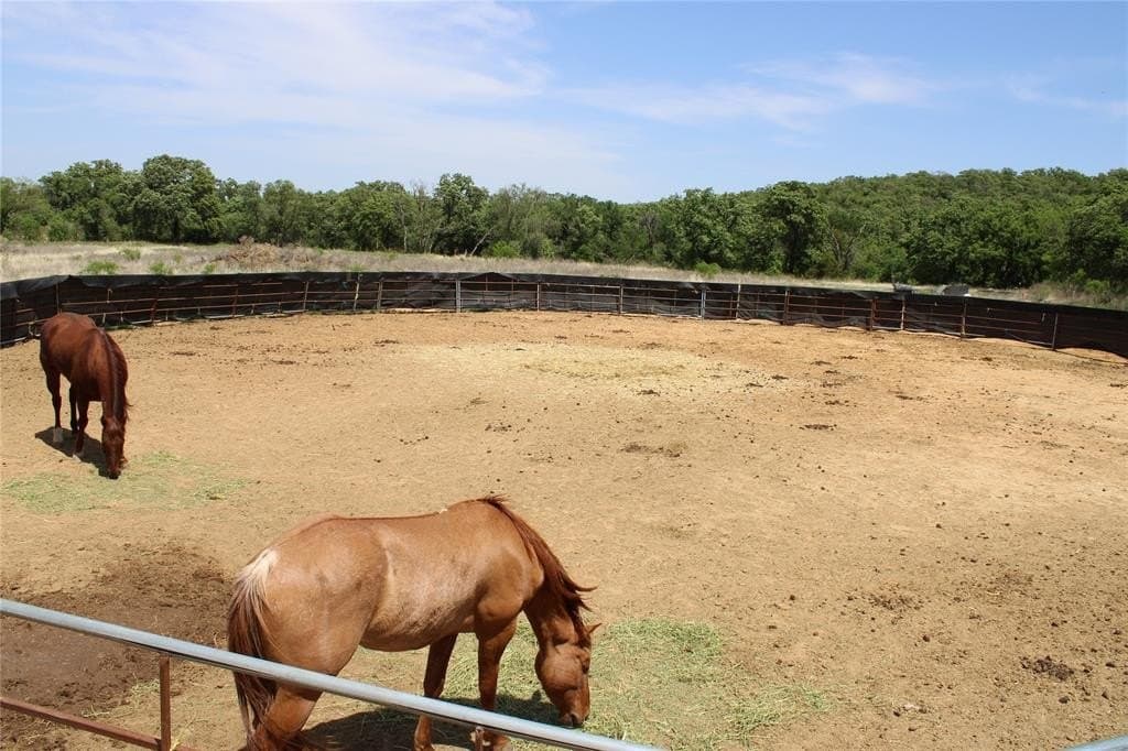 15 acres in Erath County - photo 7