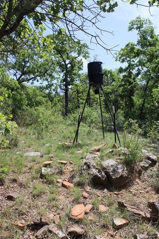 15 acres in Erath County - photo 10