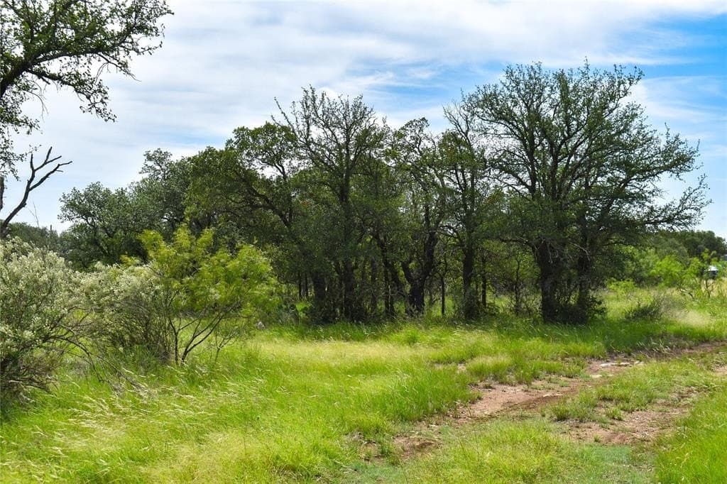 50 acres in McCulloch County - photo 7