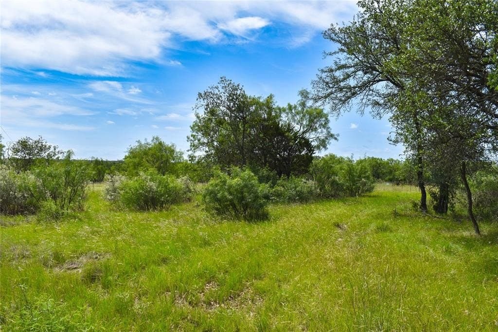50 acres in McCulloch County - photo 4