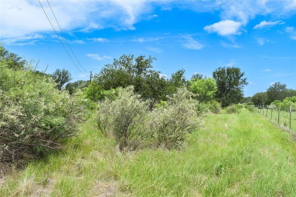 50 acres in McCulloch County - photo 6