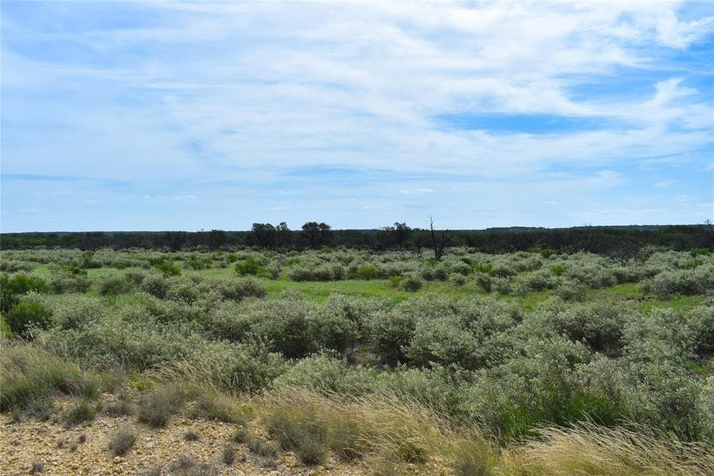 50 acres in McCulloch County - photo 11
