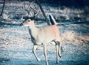 50 acres in McCulloch County - photo 36