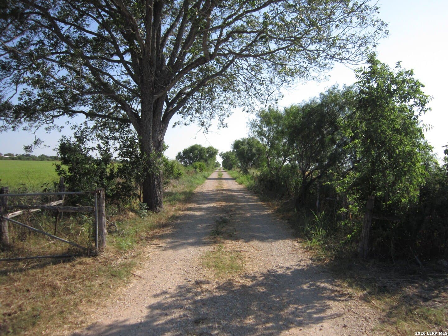 125 acres in Bexar County - photo 5