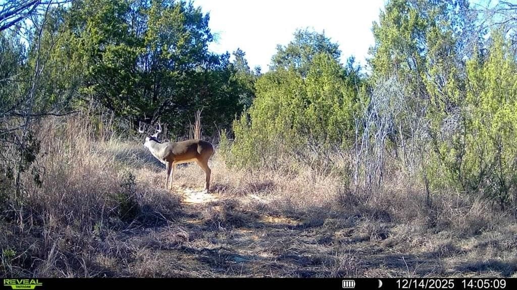 91.82 acres in Erath County - photo 13
