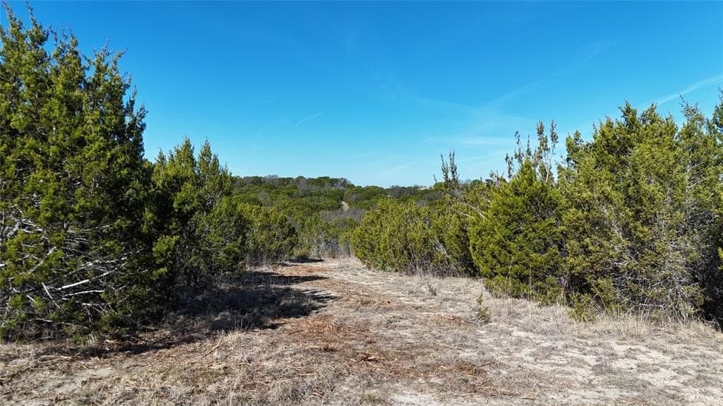 91.82 acres in Erath County - photo 9