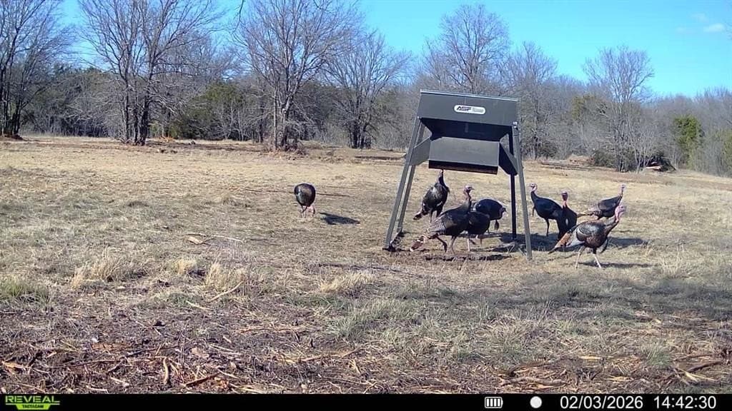 91.82 acres in Erath County - photo 15