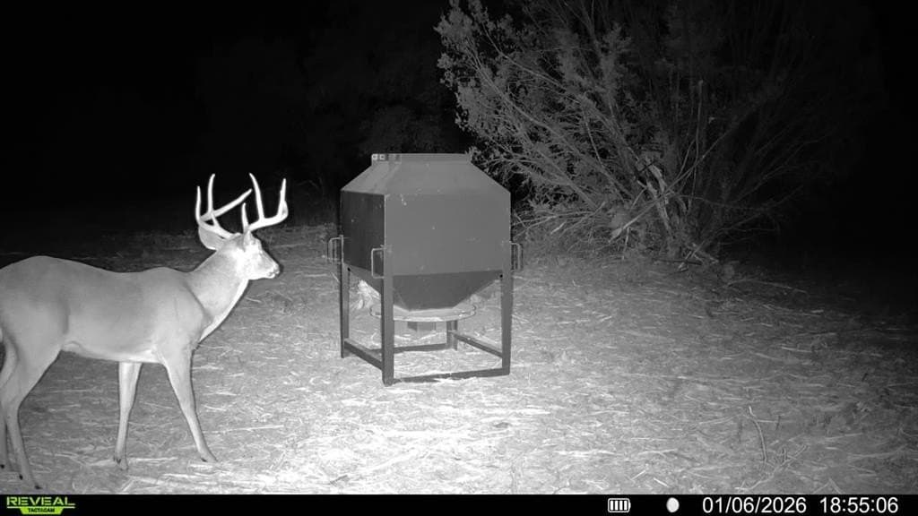 91.82 acres in Erath County - photo 16