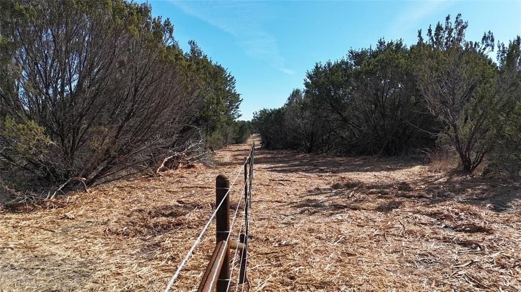 91.82 acres in Erath County - photo 20
