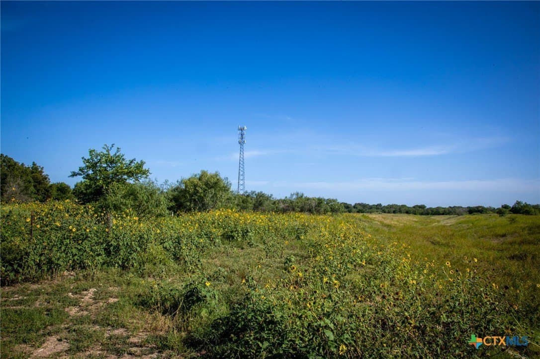 0.42 acres in Guadalupe County - photo 8