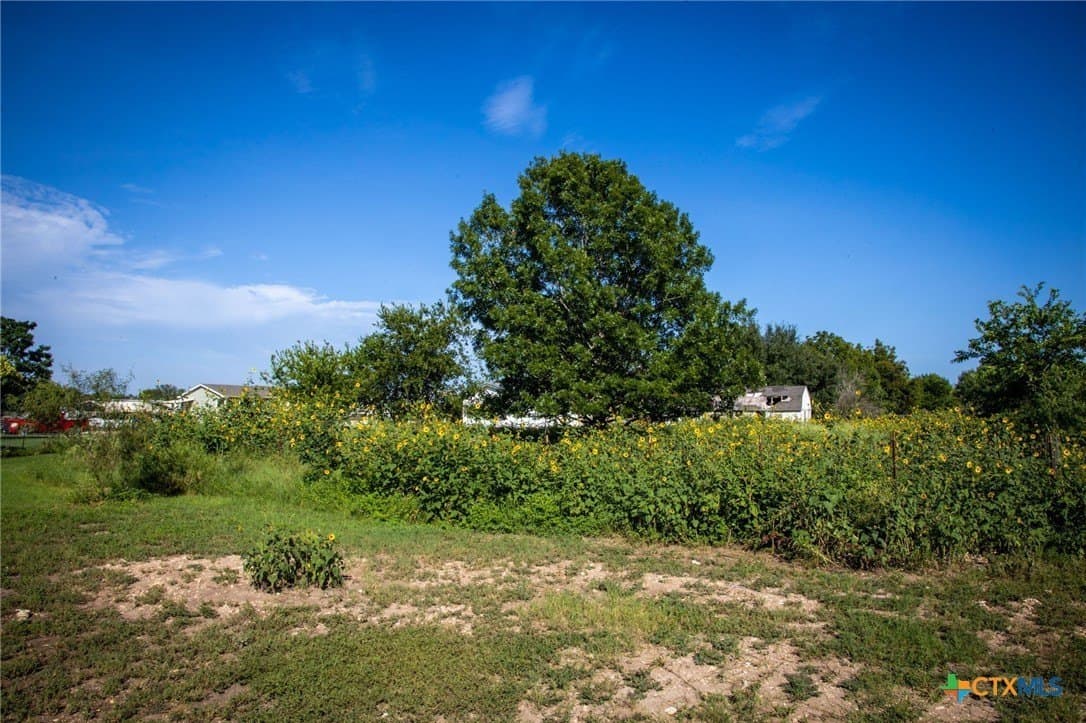 0.42 acres in Guadalupe County - photo 9