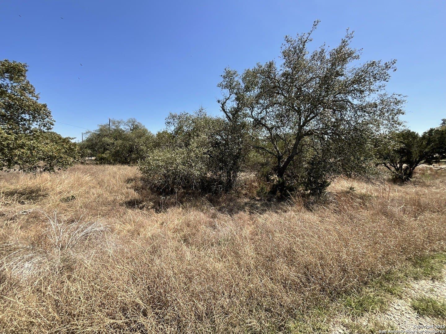 1.33 acres in Comal County - photo 3