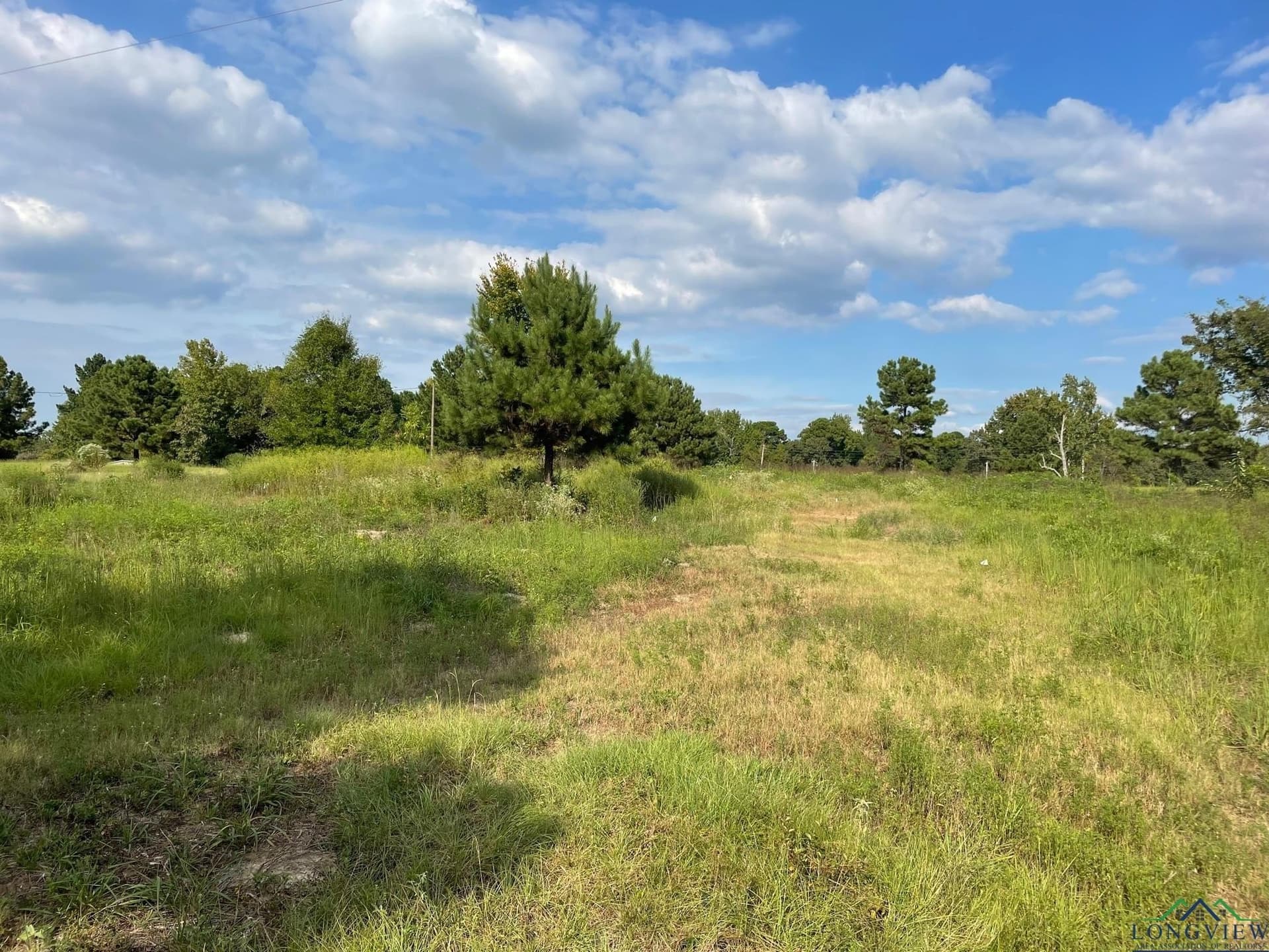 2.8 acres in Texas County - photo 4