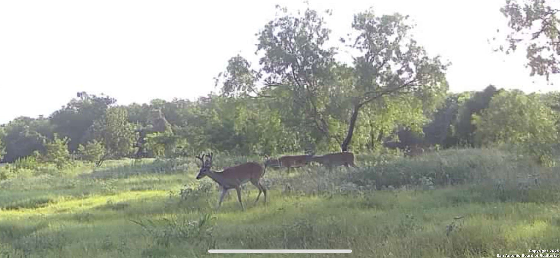 44.94 acres in Guadalupe County - photo 34