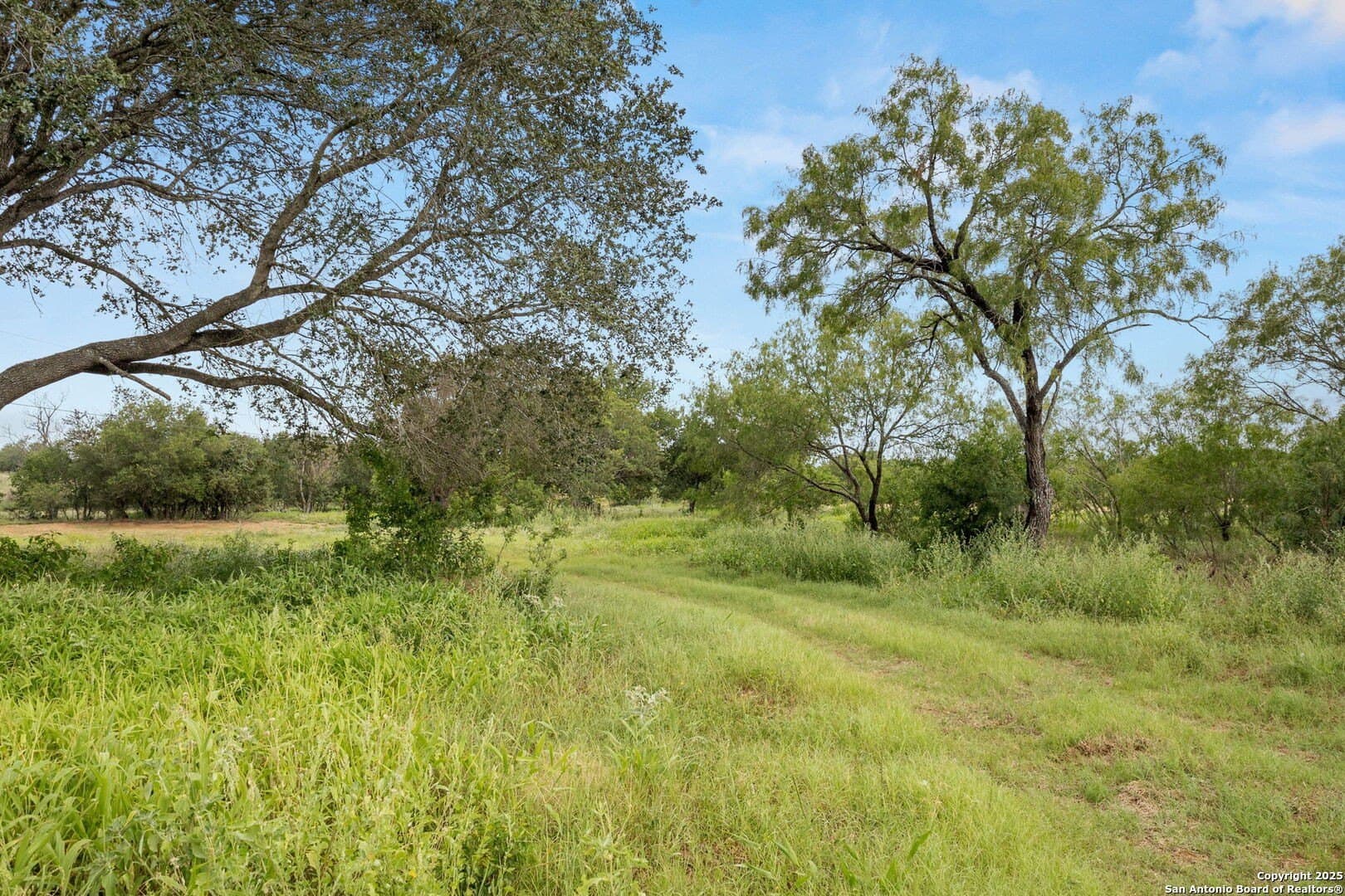 44.94 acres in Guadalupe County - photo 2
