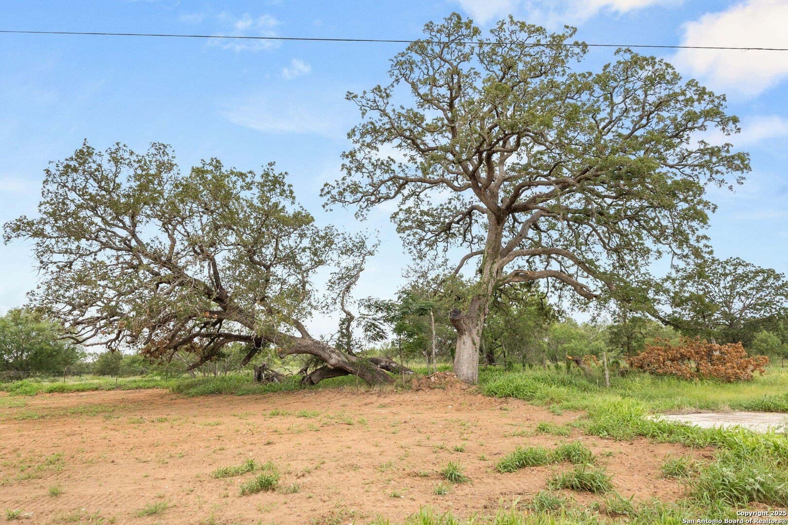 44.94 acres in Guadalupe County - photo 16