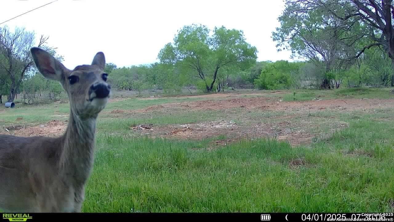 44.94 acres in Guadalupe County - photo 29