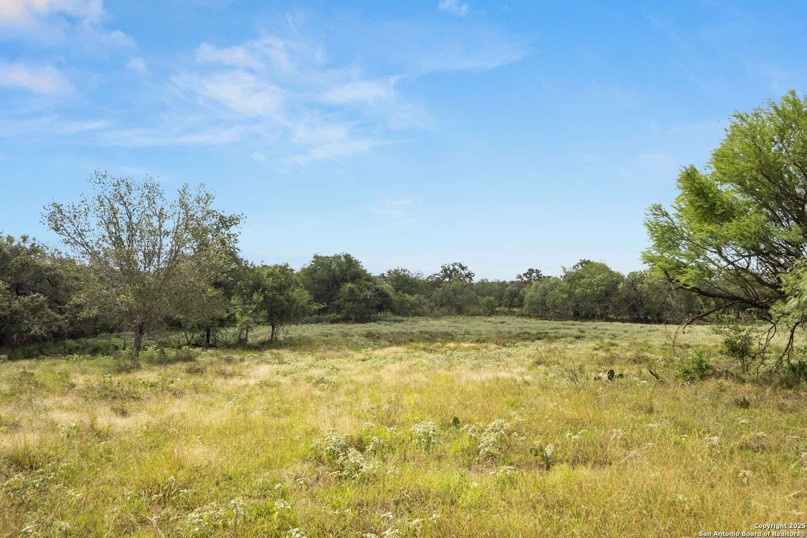 44.94 acres in Guadalupe County - photo 17