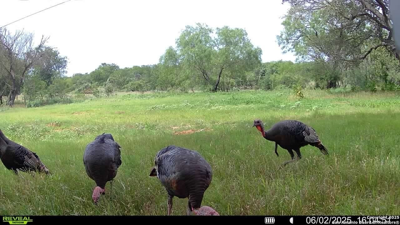 44.94 acres in Guadalupe County - photo 30