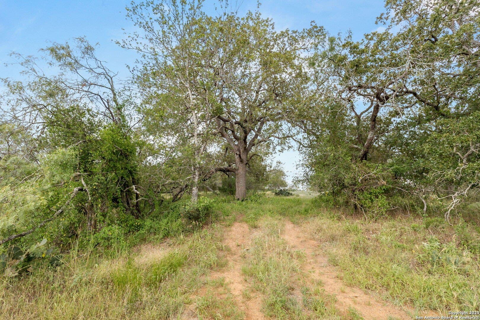44.94 acres in Guadalupe County - photo 5
