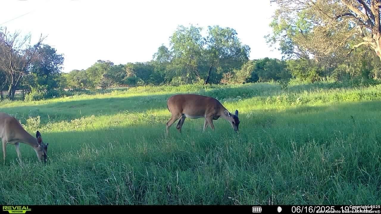 44.94 acres in Guadalupe County - photo 32