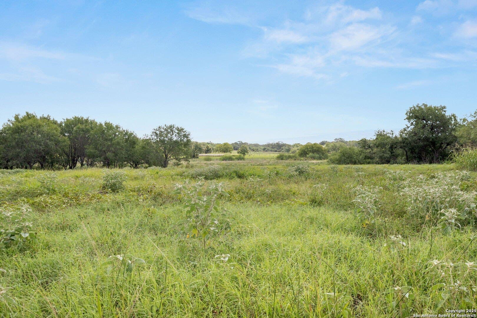 44.94 acres in Guadalupe County - photo 9