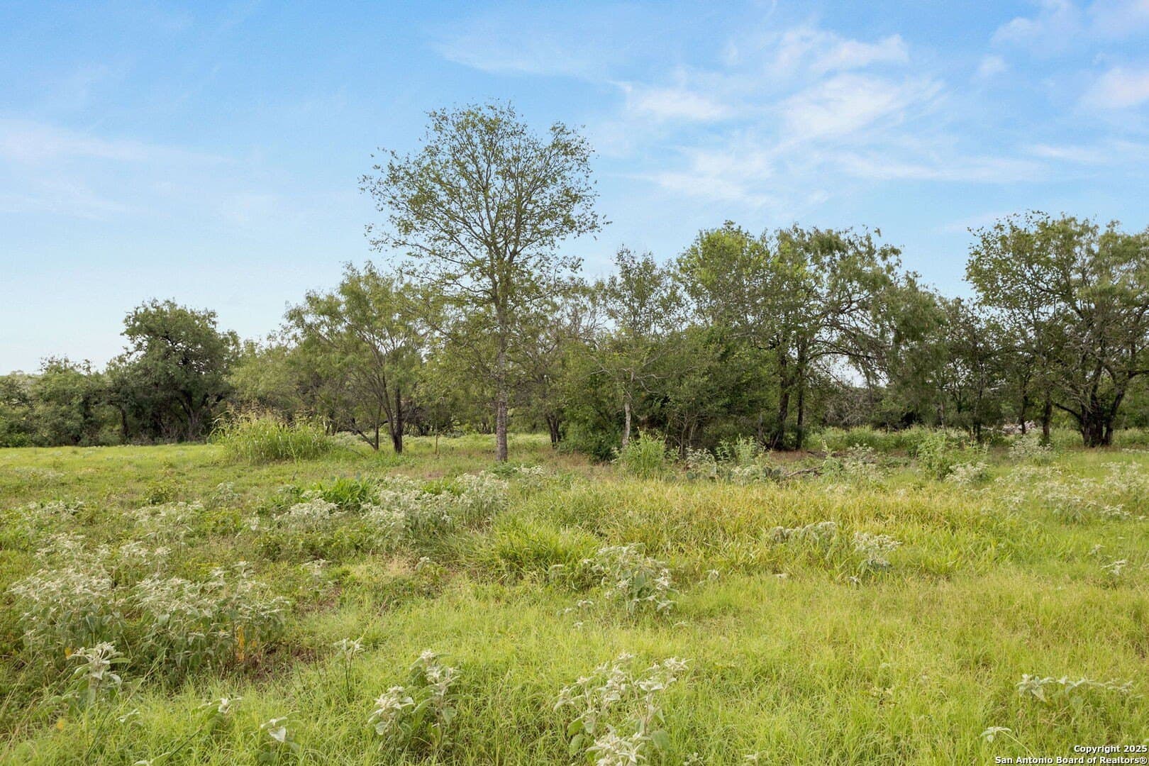44.94 acres in Guadalupe County - photo 19