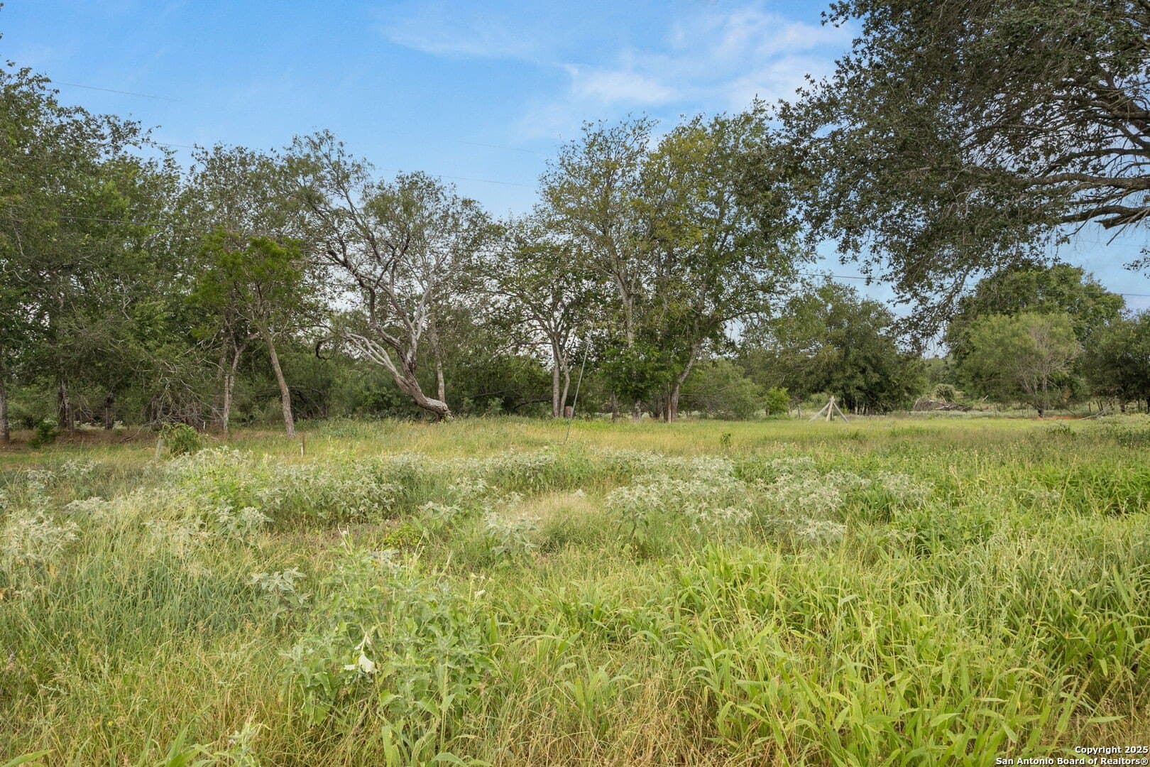44.94 acres in Guadalupe County - photo 18
