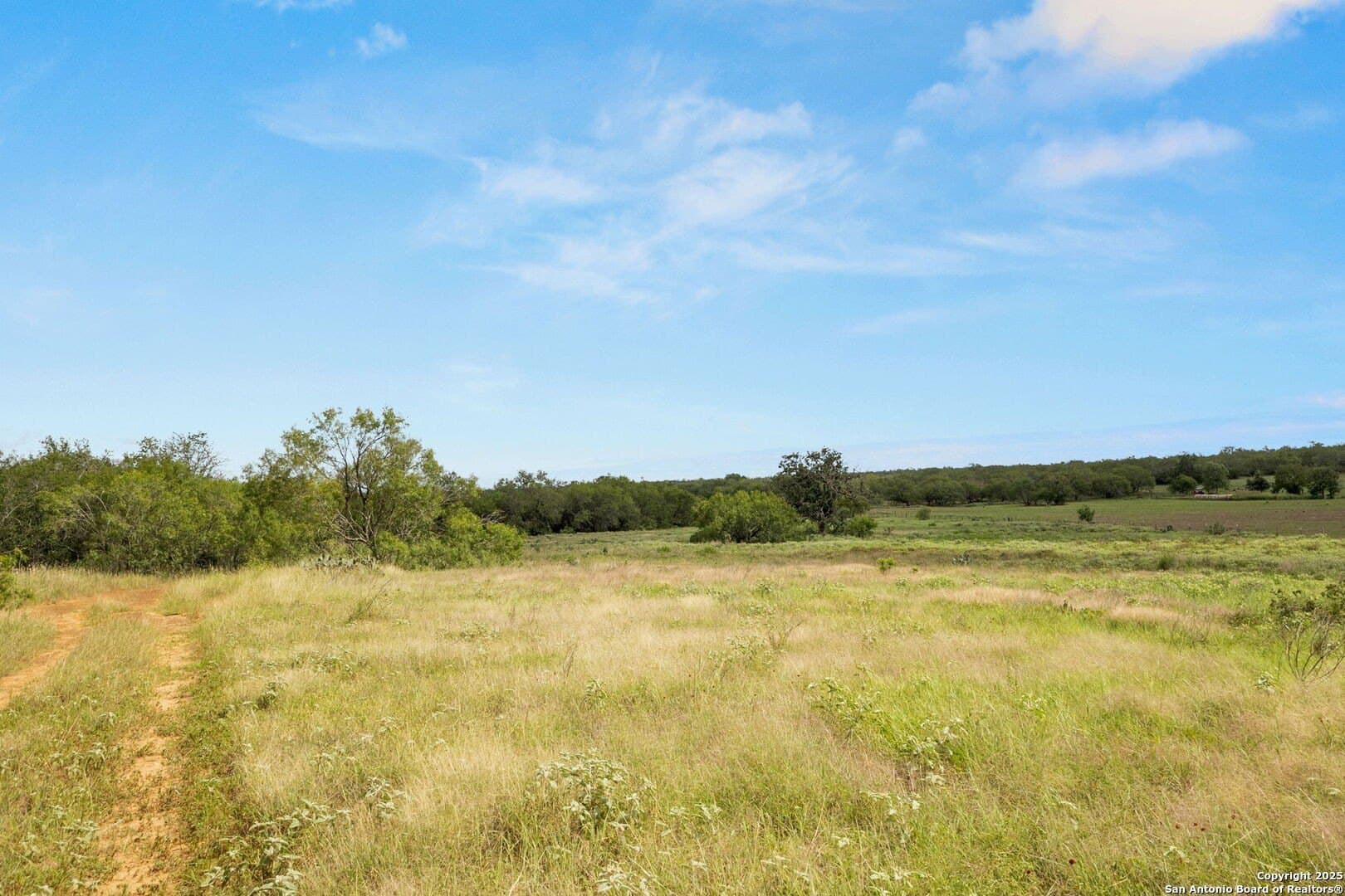 44.94 acres in Guadalupe County - photo 7