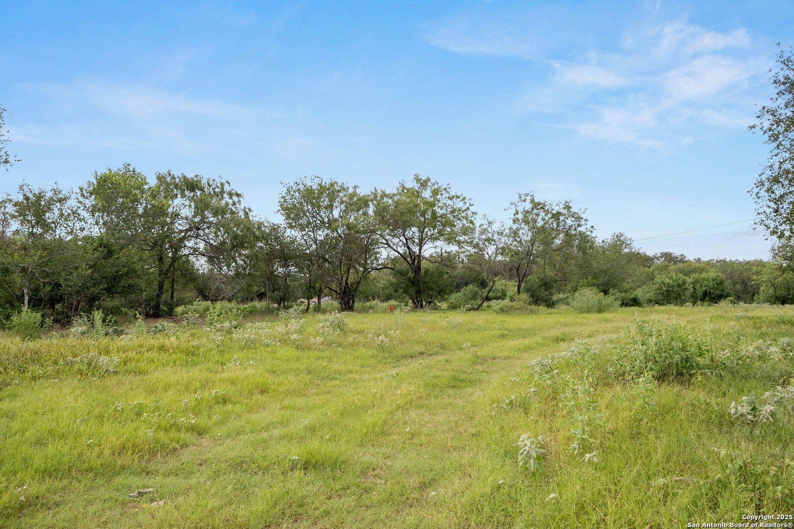 44.94 acres in Guadalupe County - photo 3