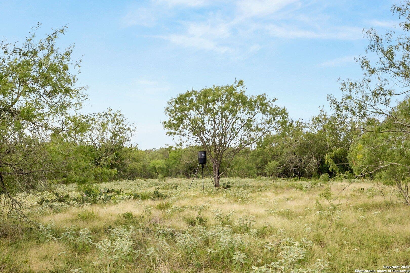 44.94 acres in Guadalupe County - photo 12