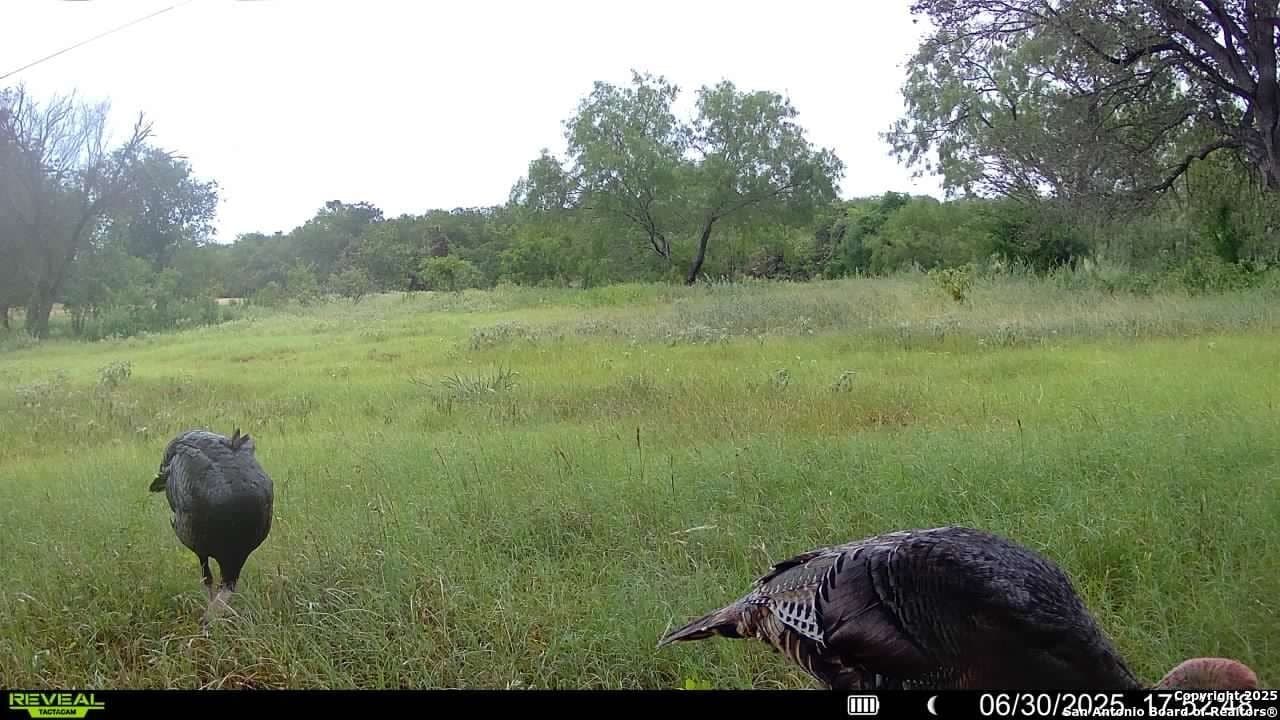 44.94 acres in Guadalupe County - photo 35