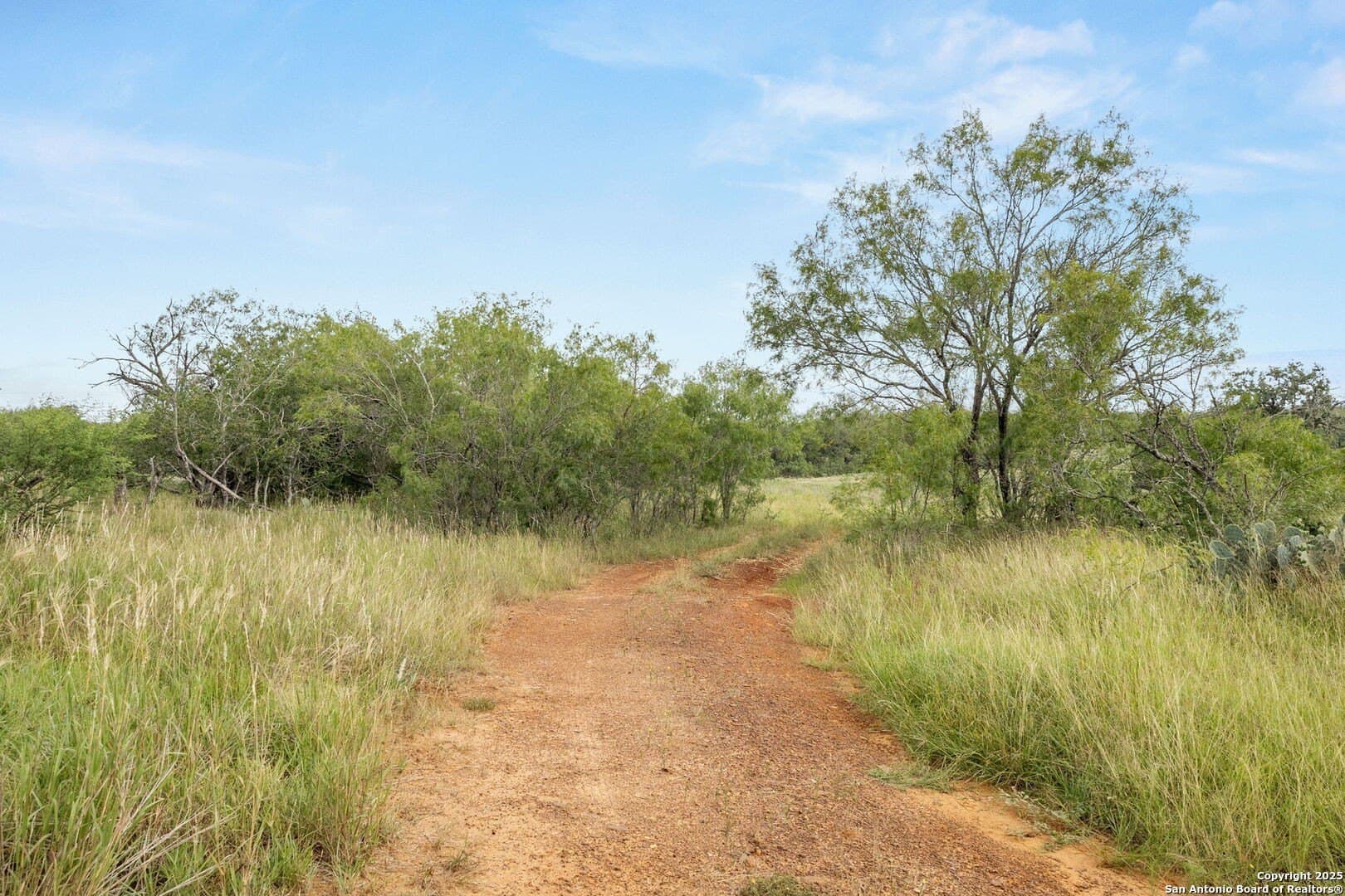 44.94 acres in Guadalupe County - photo 8