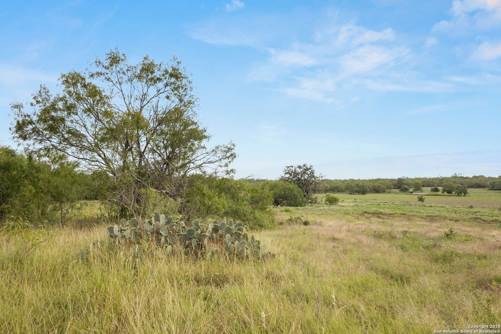 44.94 acres in Guadalupe County - photo 6