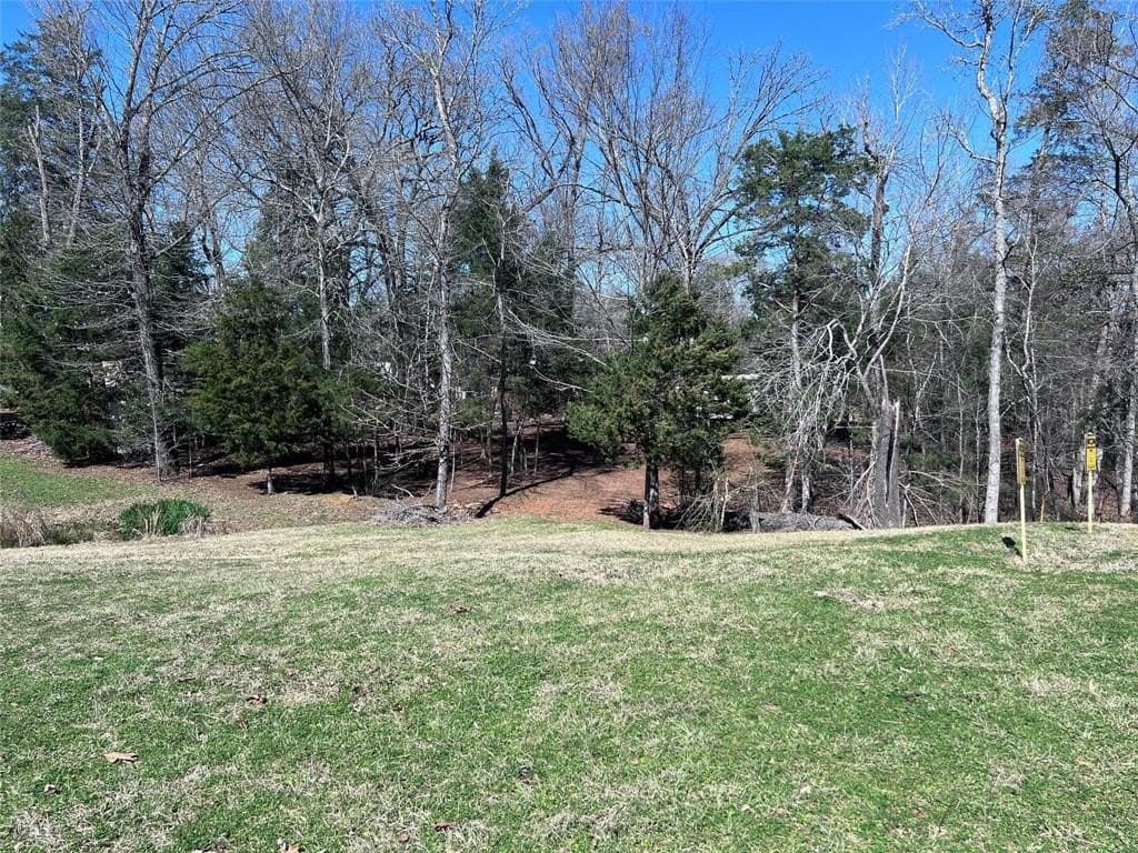 0.63 acres in Smith County - photo 2
