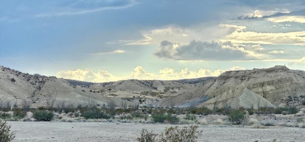 5 acres in Brewster County - photo 11