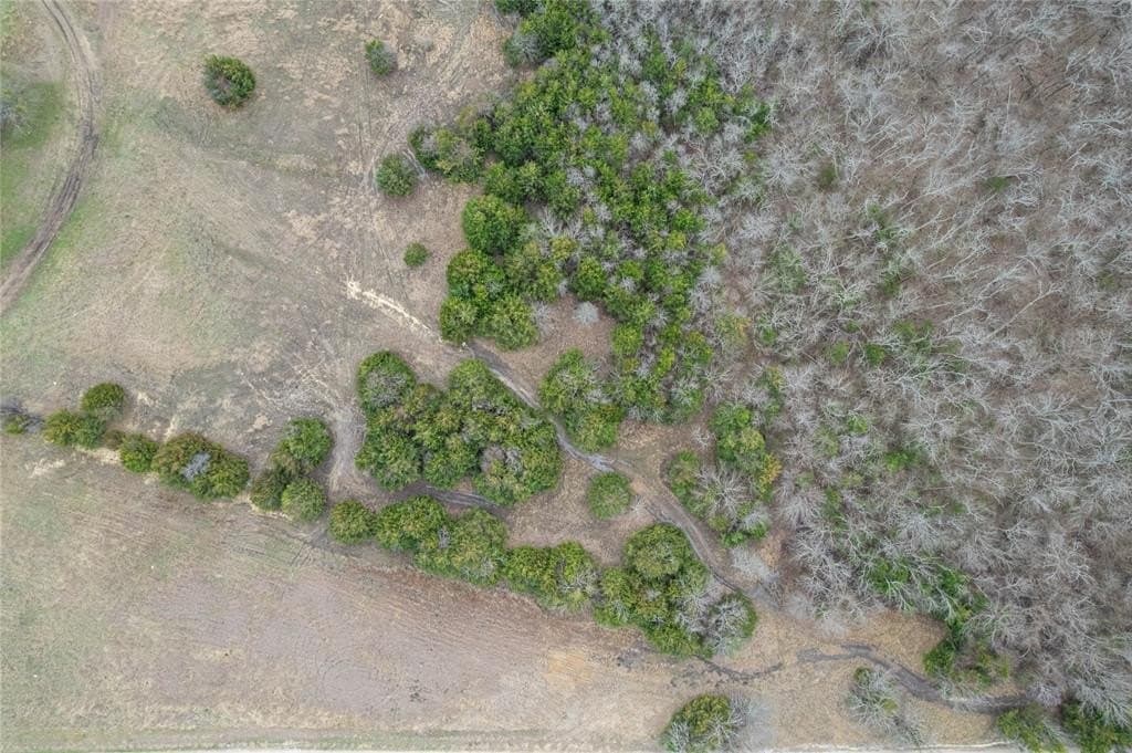 5.01 acres in Fannin County - photo 14