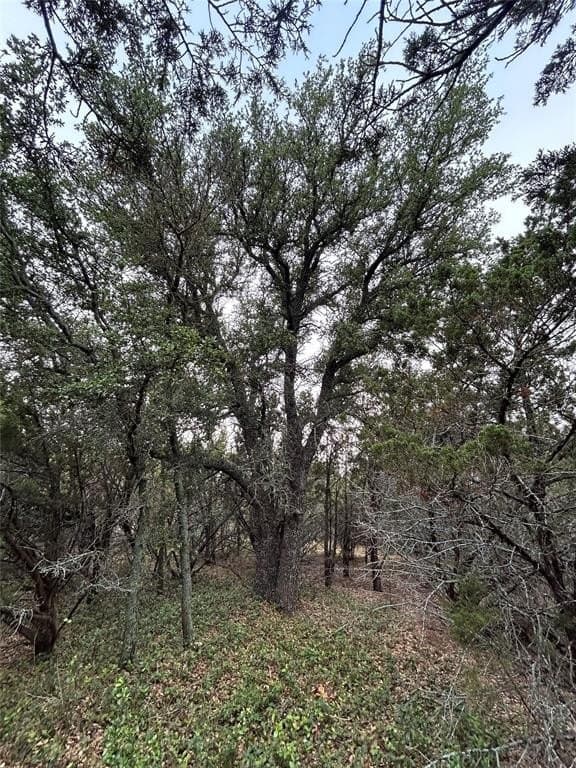 1.99 acres in Taylor County - photo 9
