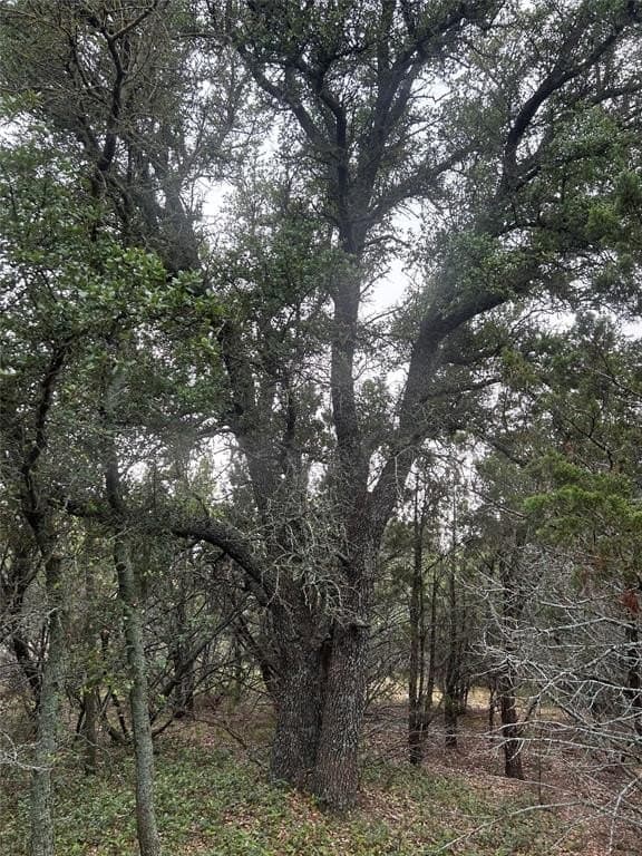 1.99 acres in Taylor County - photo 10