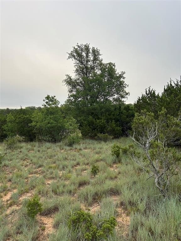 1.99 acres in Taylor County - photo 8