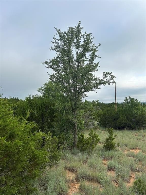 1.99 acres in Taylor County - photo 7