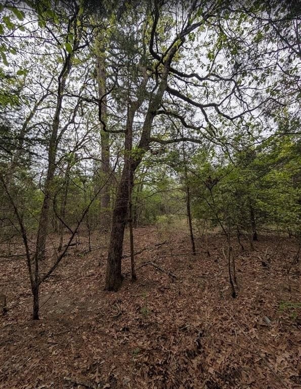 7 acres in Henderson County - photo 5
